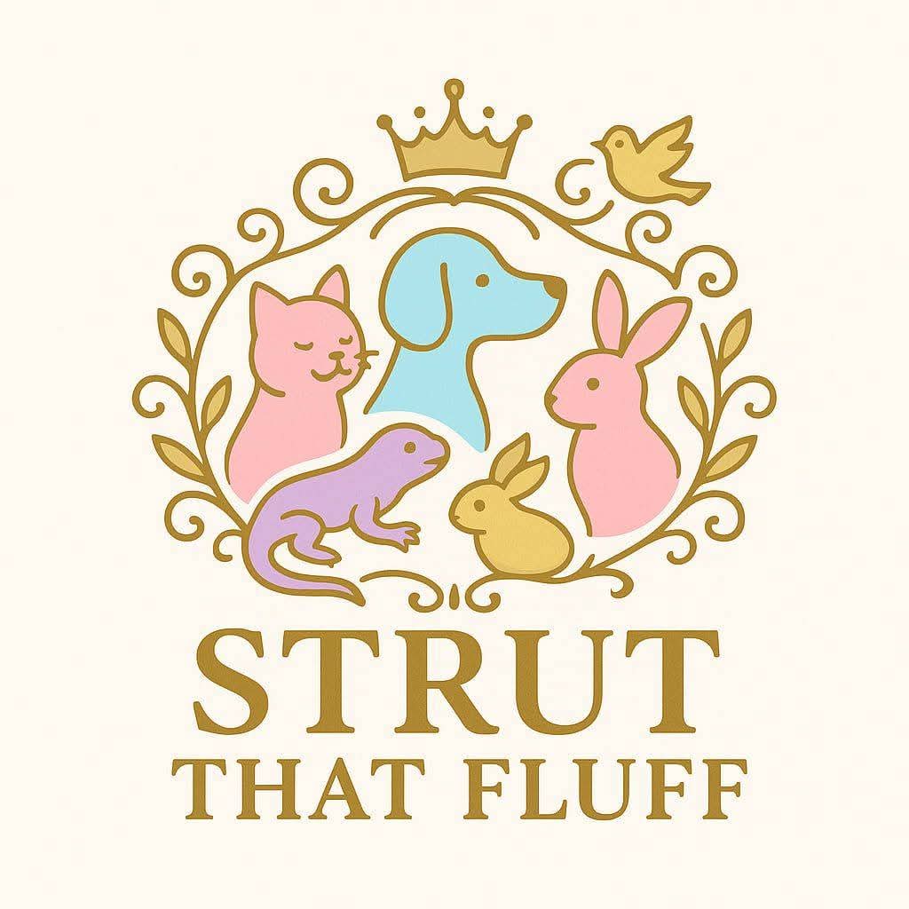 A cute dog mid-groom up on a table.